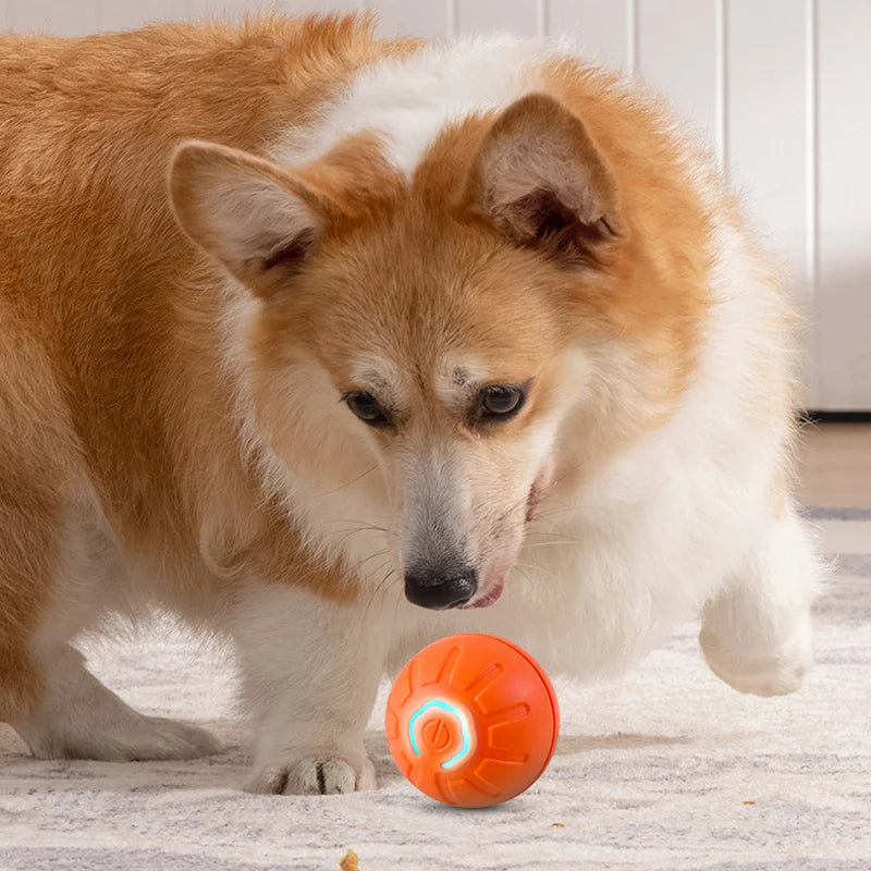 Vlieren™ Smart Interactive Dog Toy Ball
