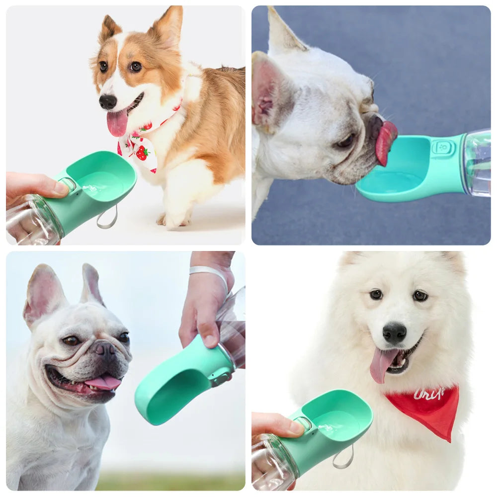 Vlieren Portable Pet Water Bottle β Leakproof Travel Bowl for Dogs & Cats