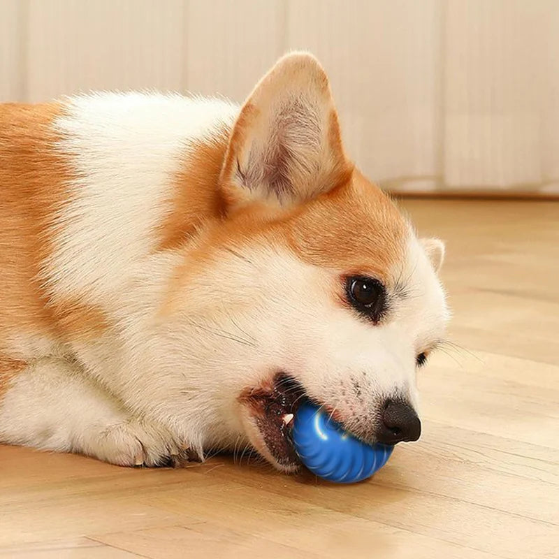 Vlieren™ Smart Interactive Dog Toy Ball